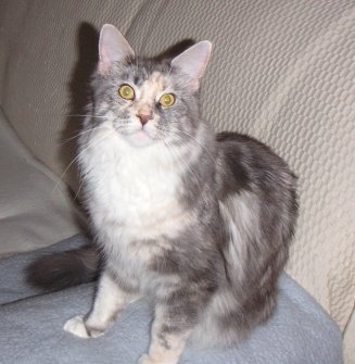 sammy_2054_2.jpg