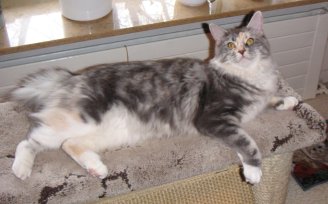 sammy_2054_2.jpg