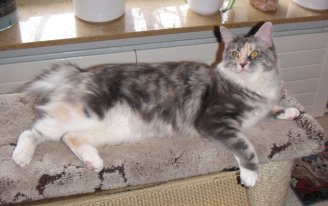 sammy_2054_2.jpg